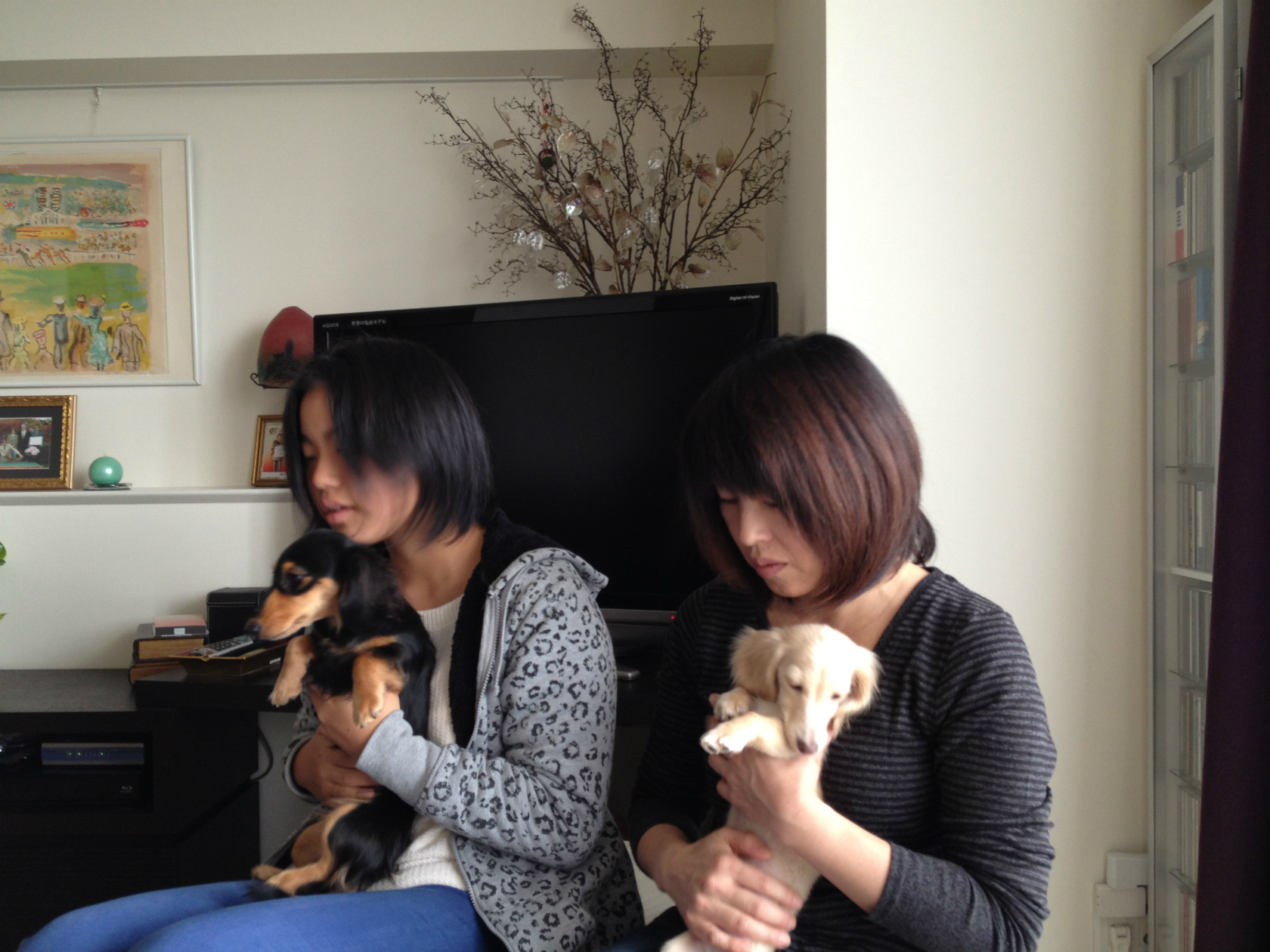 愛犬のためのアロマ＆ドッグマッサージセミナー（2012.12.1) 東京教室