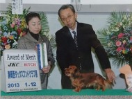 JKC公認ハンドラー後藤誠先生