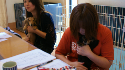 愛犬のためのアロママッサージ講座（2012.7.22)富士宮教室