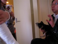 ドッグアロマセミナー