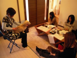 愛犬のためのアロママッサージ講座（2012/2/28　沼津教室）