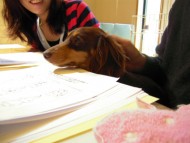 愛犬のためのアロママッサージ教室（2012.3.25）富士宮教室