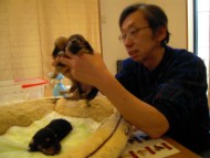 愛犬のためのアロママッサージ教室　富士宮教室