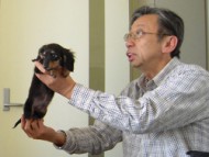 後藤誠先生　しつけ指導